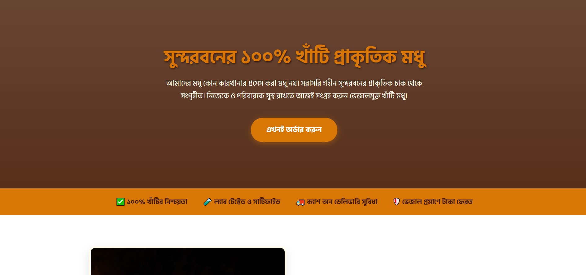 Single Product Sales Landing Page HTML Template (Free Download)